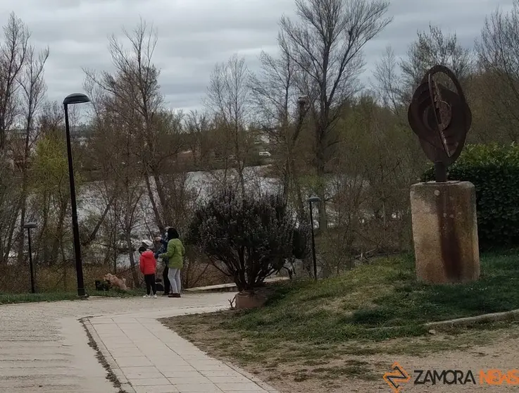 Zamoranos pasean con sus perros por la orilla del río Duero