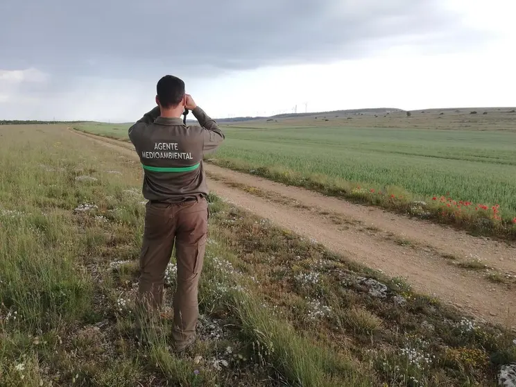Agente Medioambiental