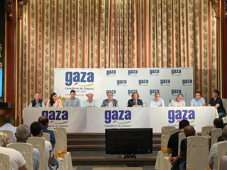 asamblea gaza