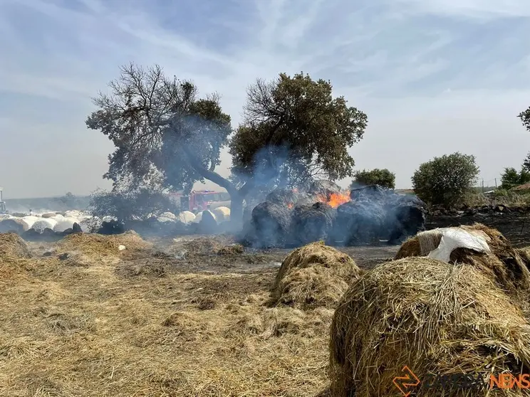 Alpacas ardiendo en Piñuel