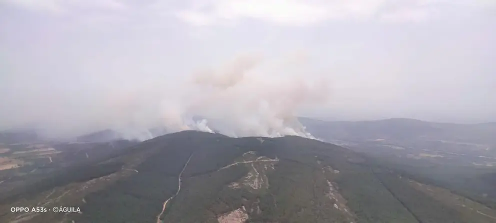 Incendio Ríofrio de Aliste