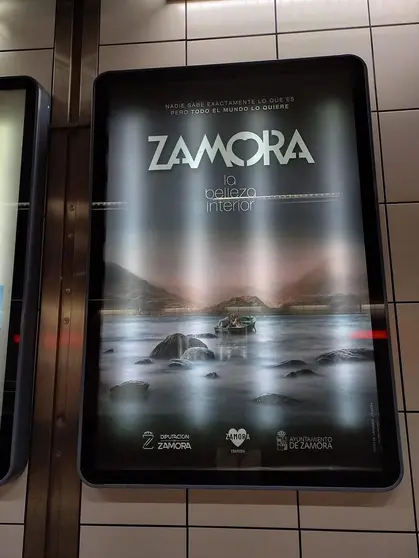 Cartel de Zamora