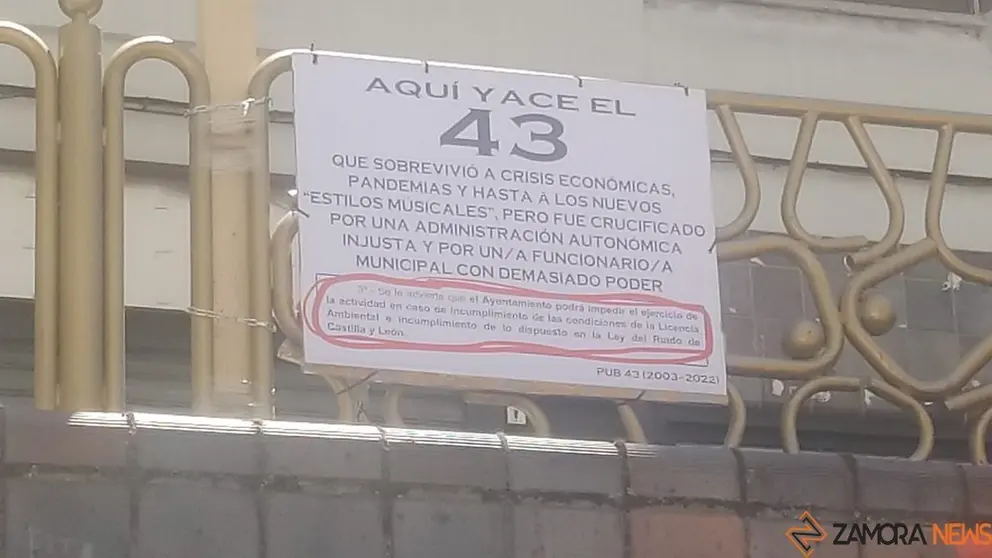 43