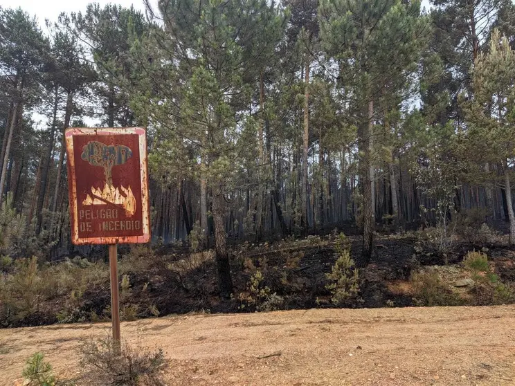 Imagen de archivo de la Sierra de la Culebra tras el incendio