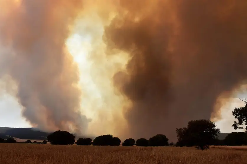 Incendio Almaraz