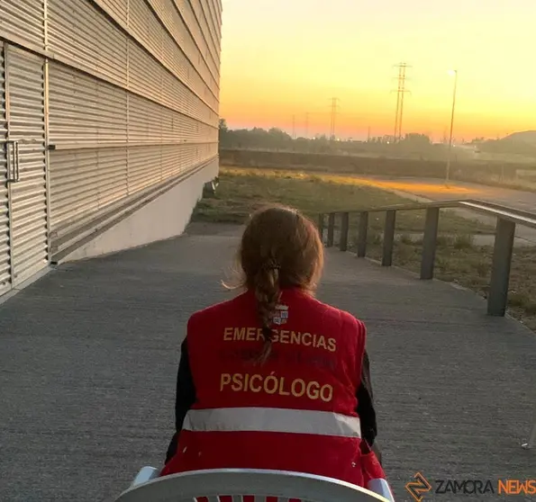 psicólogos