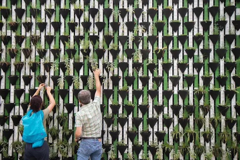 Jardín vertical