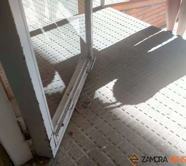 La pequeña culebra en la puerta de un inmueble en San José Obrero