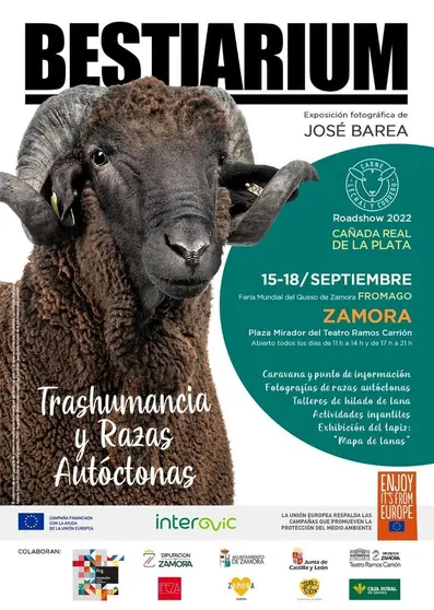 Exposición Bestiarium