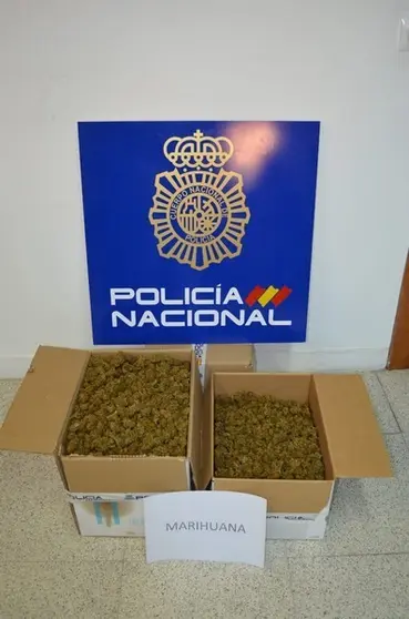Cogollos incautados por la Policía Nacional