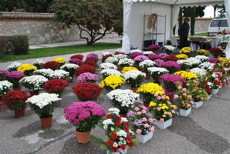 Puesto de flores a la entrada del cementerio en Benavente