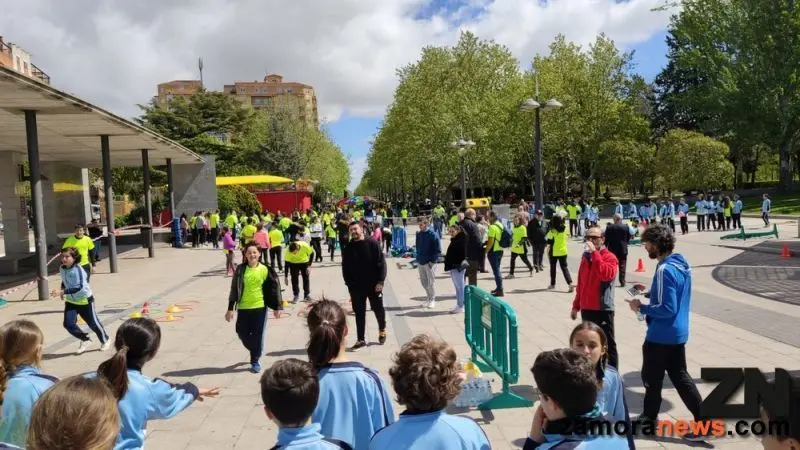 dia de la educación fisica