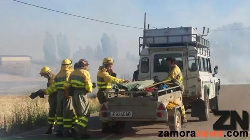 trabajos forestales. Imagen de archivo