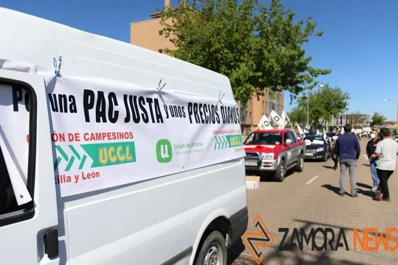 Manifestación La Unión de Zamora - UCCL Zamora