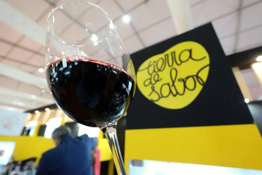 Cata de vinos con selle Tierra de Sabor