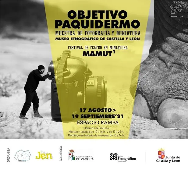 Exposición Objetivo Paquidermo