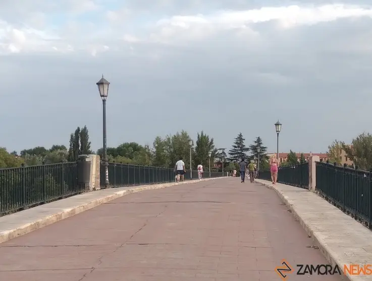 Viandantes por el Puente de Piedra