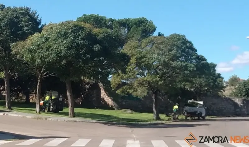 Trabajadores de Parques y Jardines en Pinilla