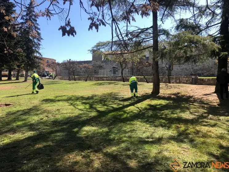 Operarios de Parques y Jardines limpian San Martín