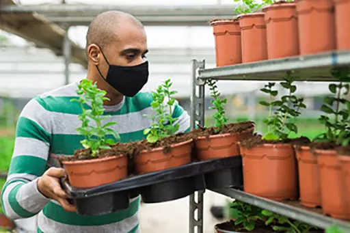 Trabajador en el sector de la jardinería