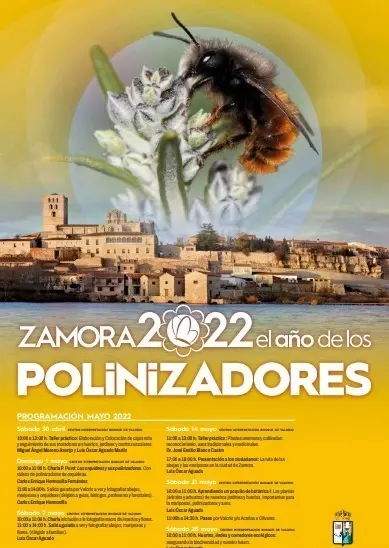 polinizadores