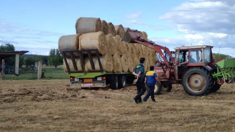 Un ganadero recibe las pacas