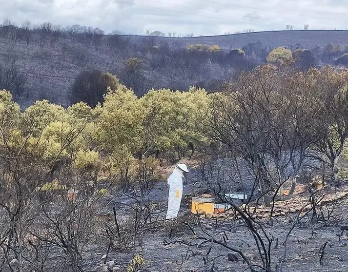 Incendio Sierra de la Culebra imagen cedida