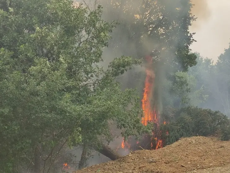 Incendio en Ferreras de Abajo. Foto de archivo