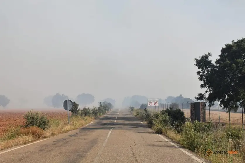 Incendio Almaraz de Duero_10