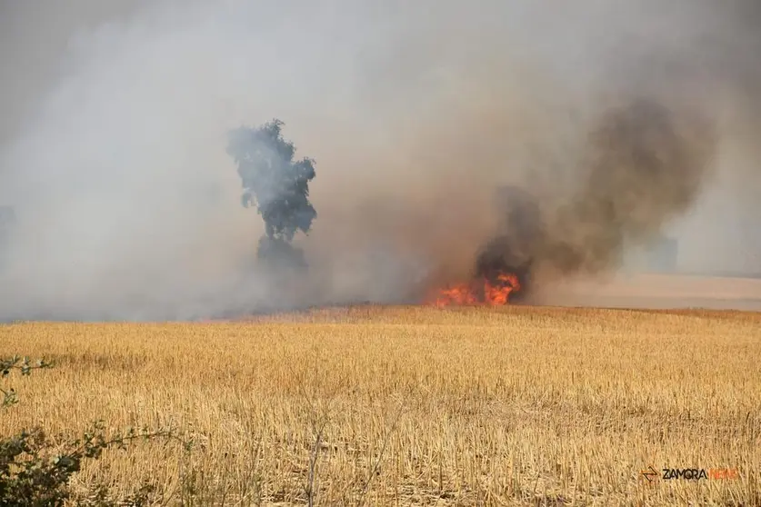 Incendio Almaraz de Duero_8