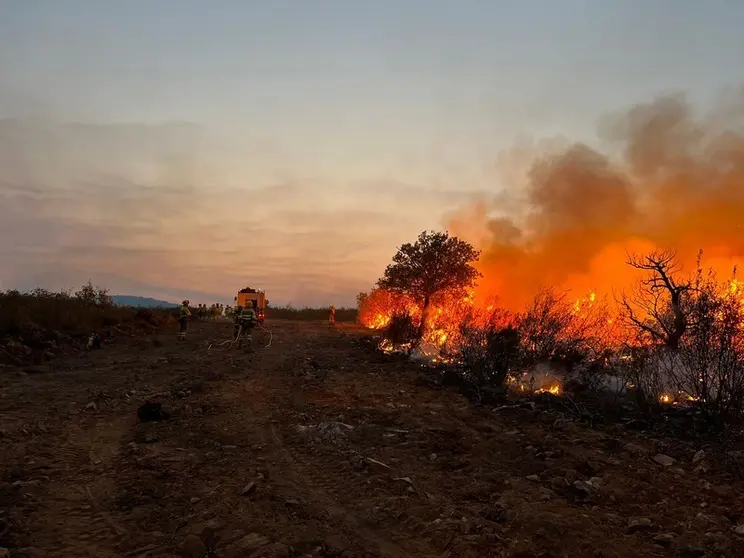 Brigada actuando en el incendio de Losacio. Foto apamcyl