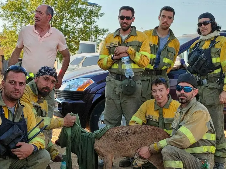 La ELIF del Zulú 2 con un corzo rescatado del incendio de Losacio