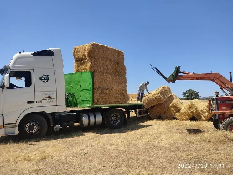 Llegada de alimento para ganado a Tábara