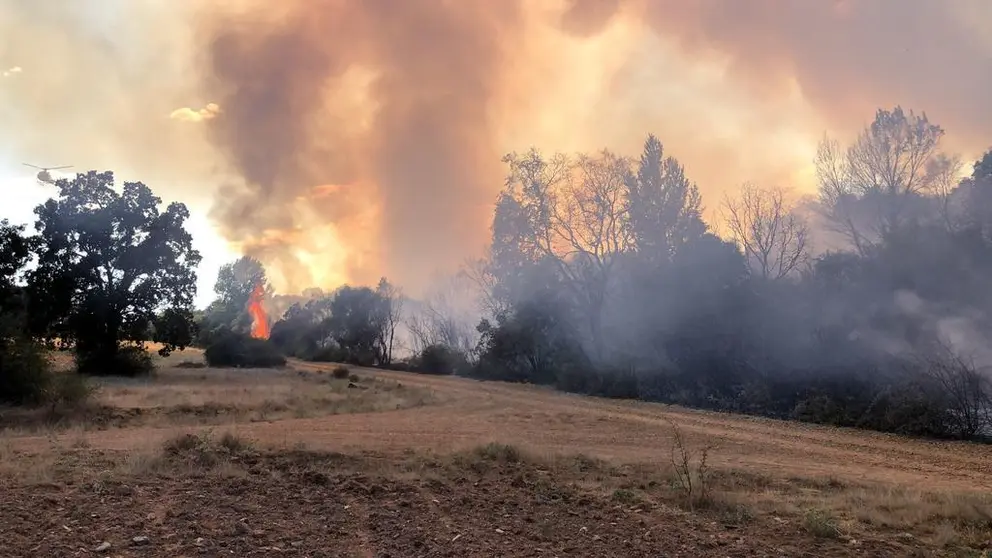 Incendio Carbajales de Alba. Fotografía: @INFOCYL