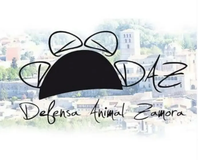 DAZ logo