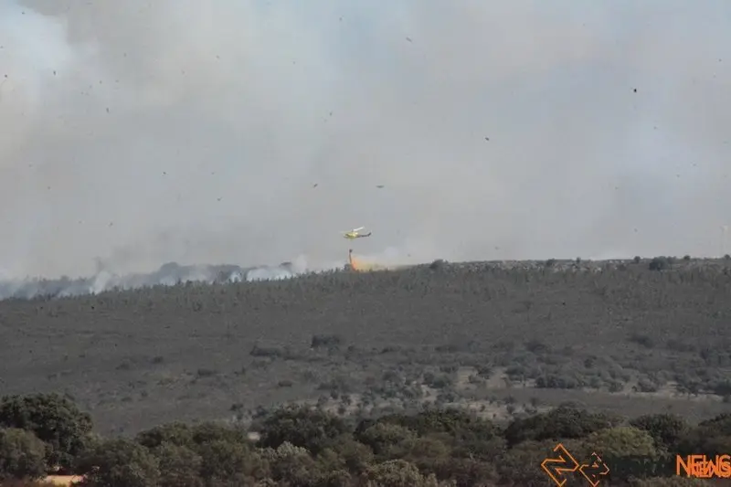 Imagen del fuego de Losacio