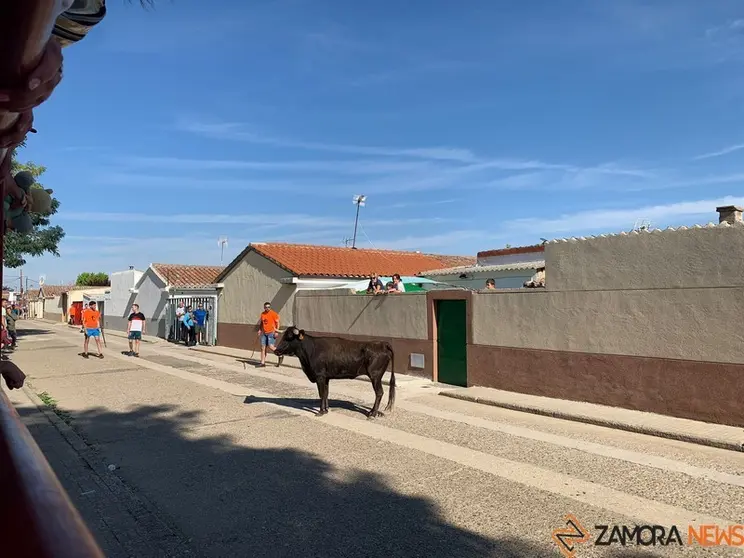 Encierro en Villaralbo