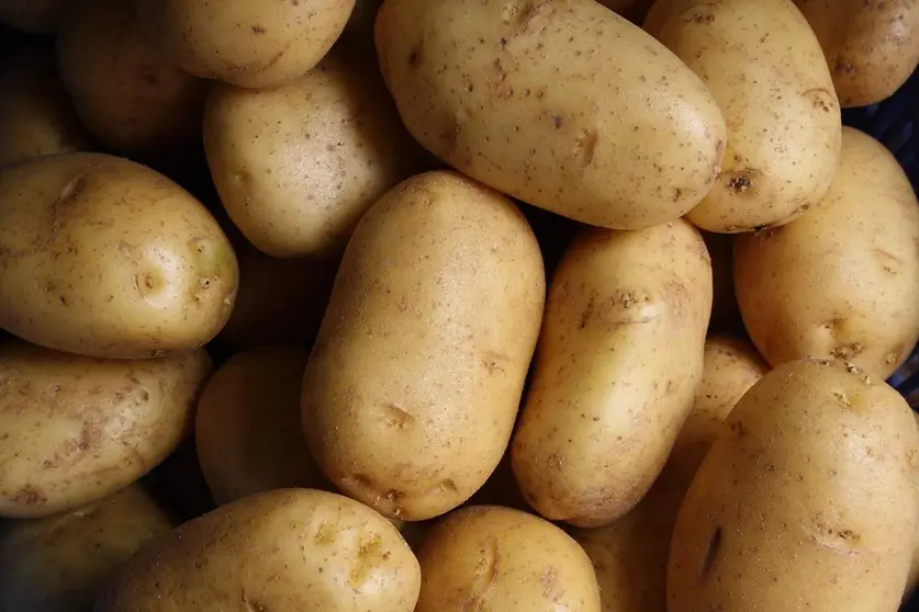 Patatas. Fotografía de archivo