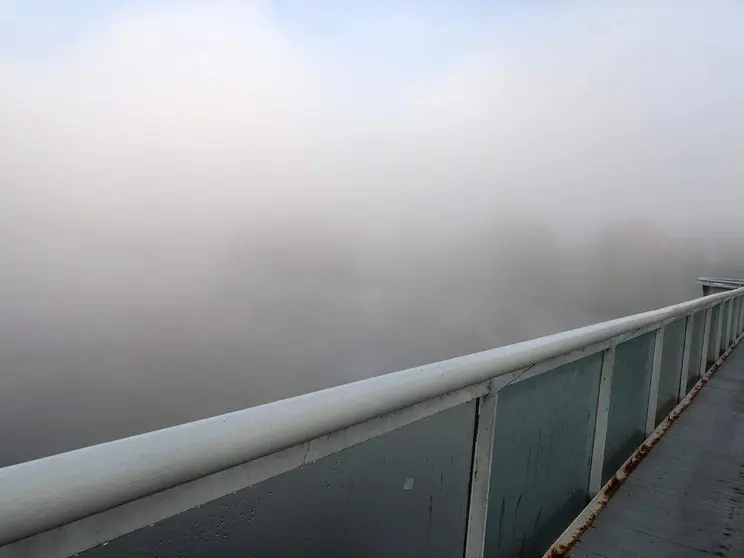 puente de piedra niebla