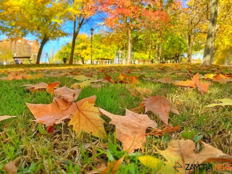 Otoño en Zamora