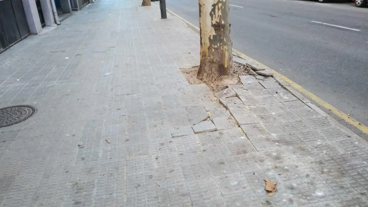 Acera en Candelaria Ruiz del 
&Aacute;rbol