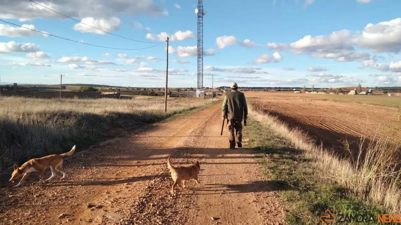 Cazador con sus perros. Imagen de archivo