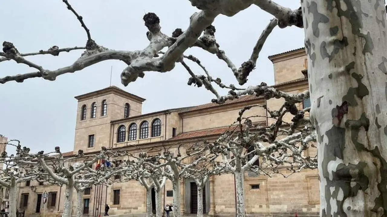 Diputaci&oacute;n de Zamora (1)