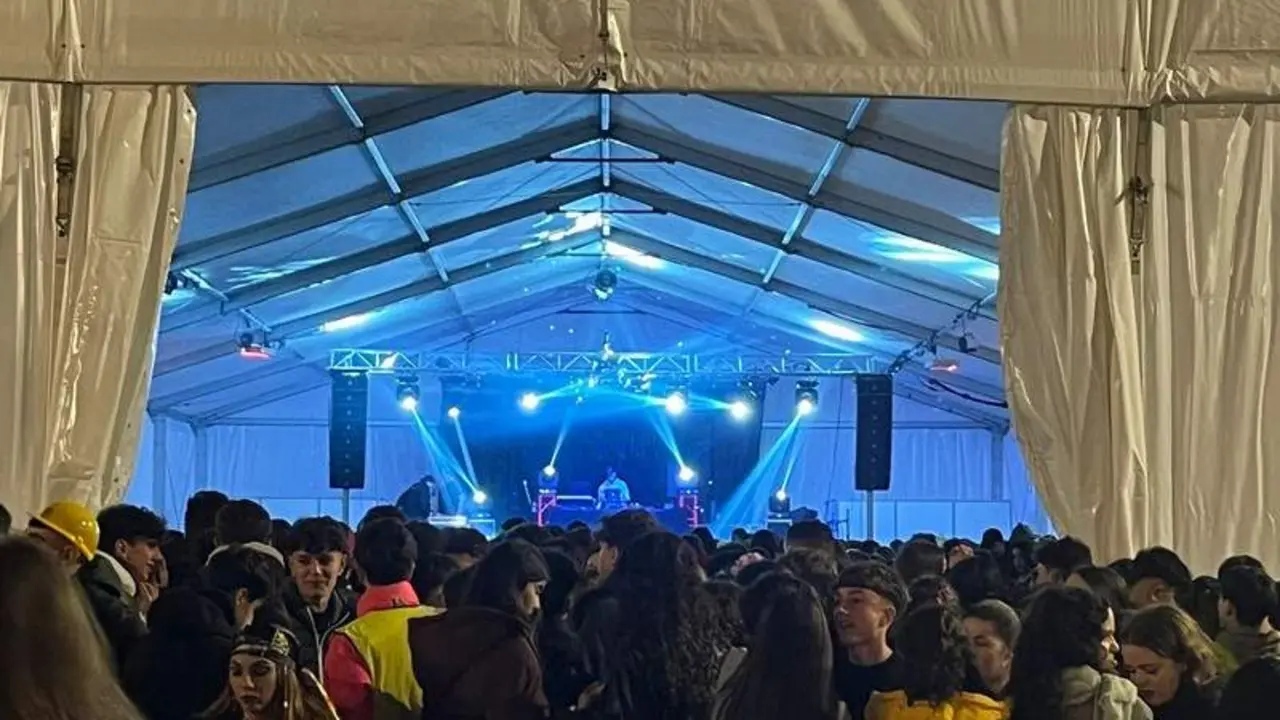 actividades carnaval Zamora 