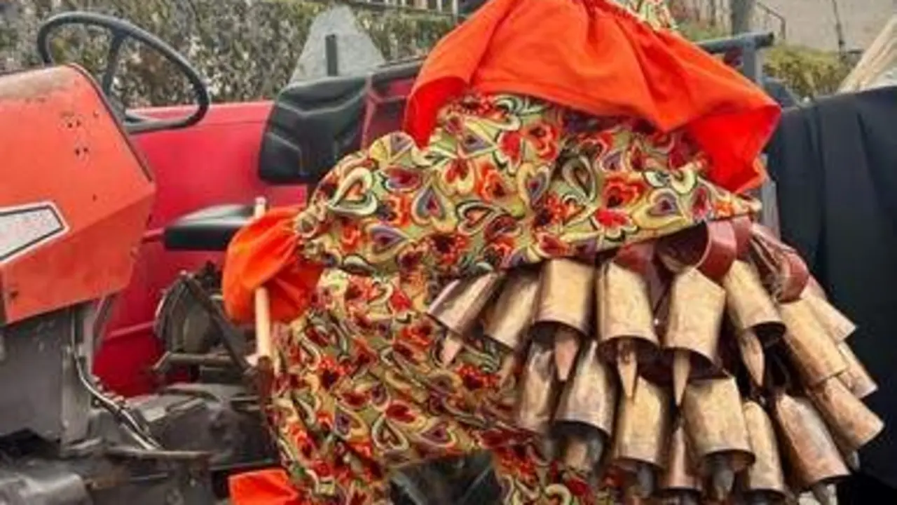 Los antruejos de Villanueva de Valrojo