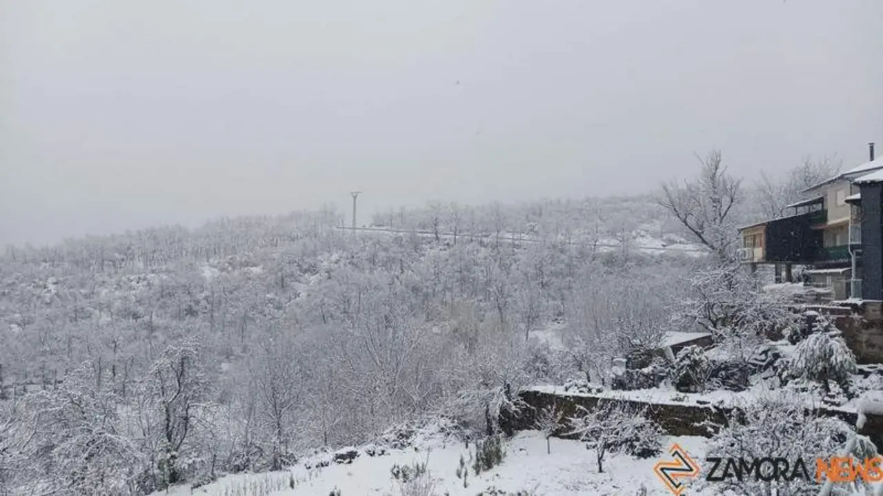 Nieve en Sanabria (1)