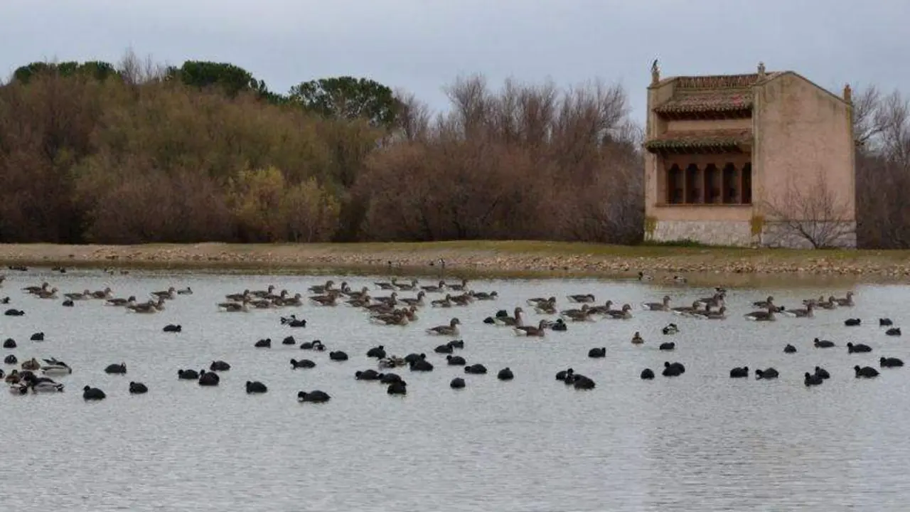 Las lagunas de Villaf&aacute;fila (2)