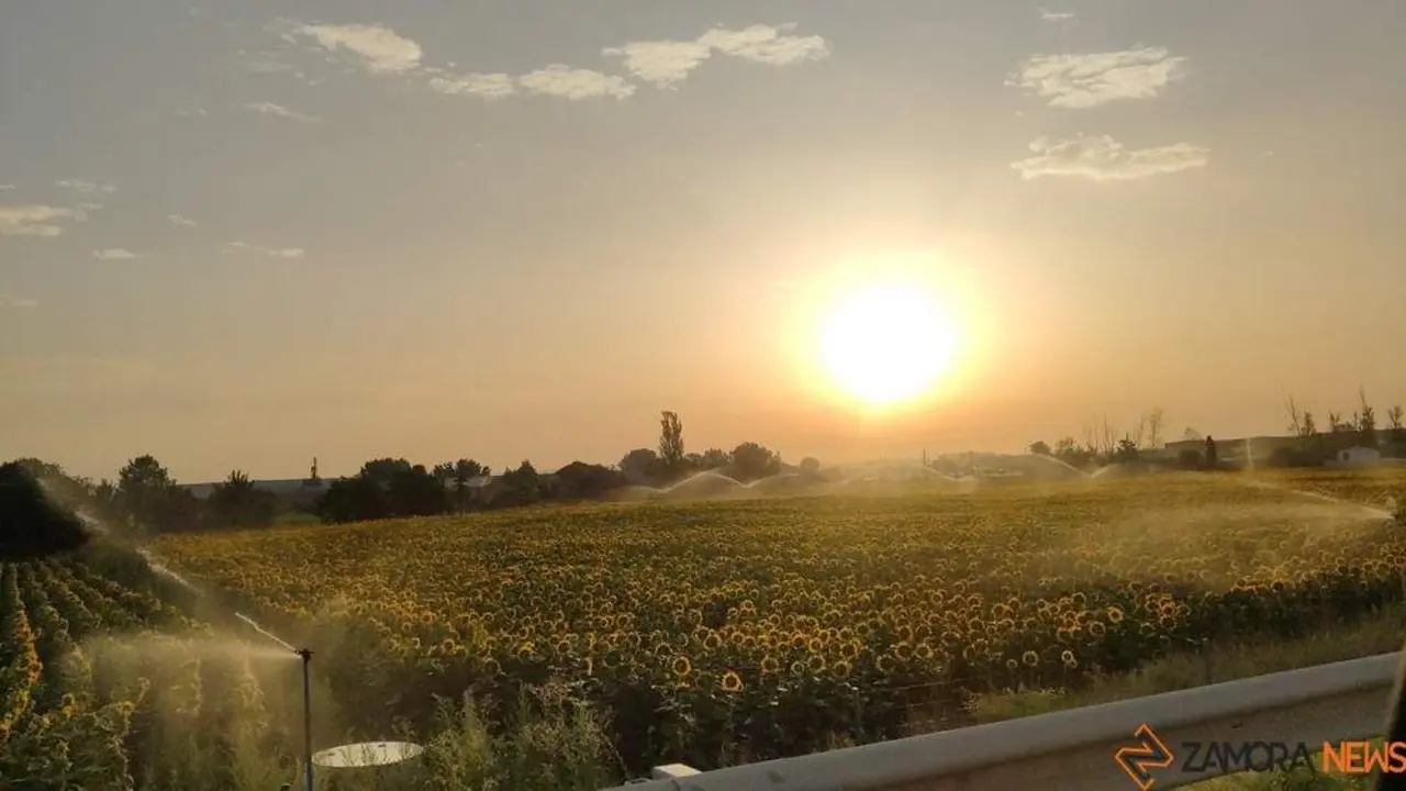 calor zamora temperatura amanece
