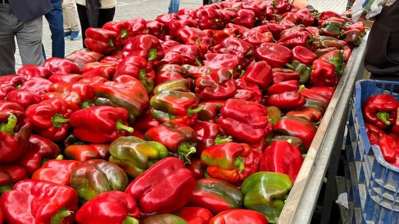 Feria del Pimiento en Benavente_9