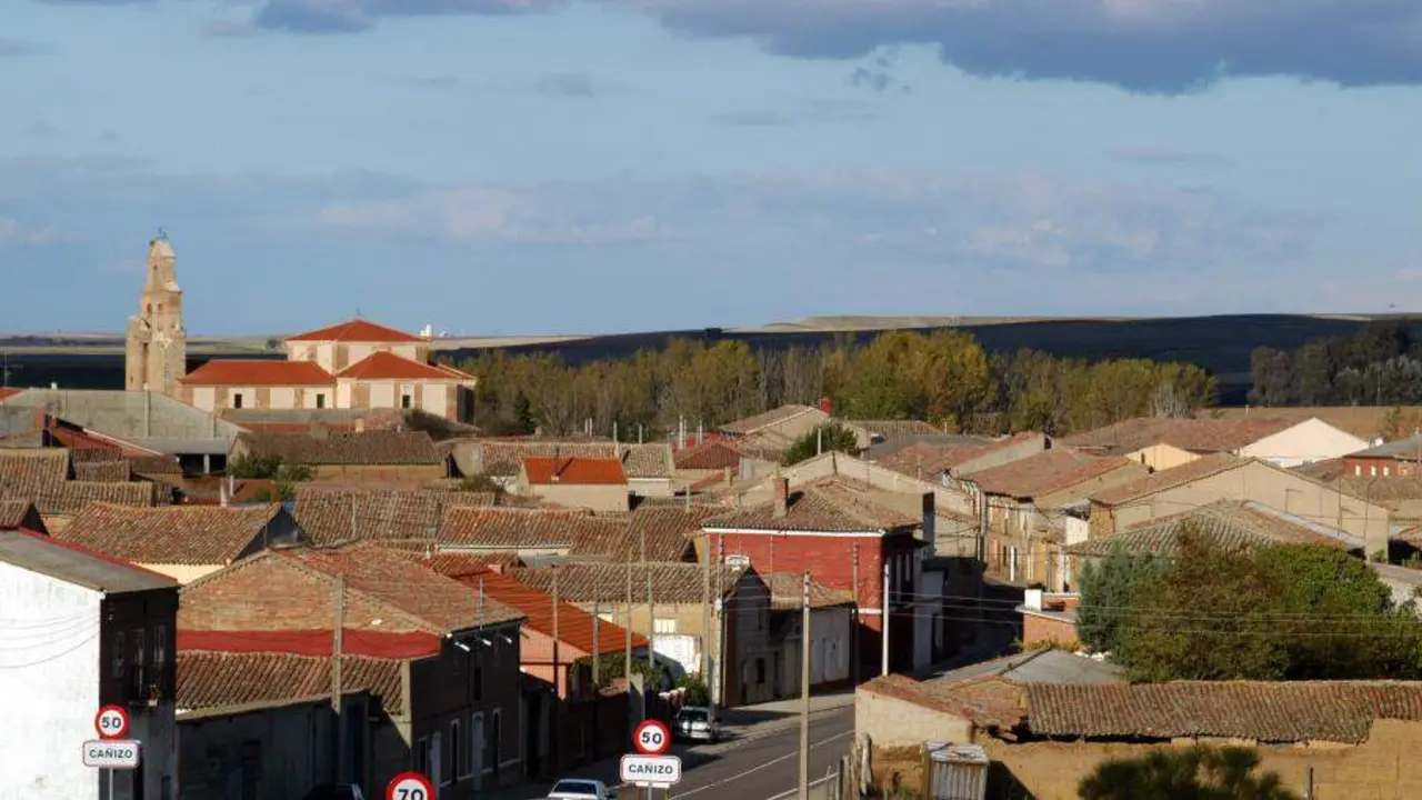 Ca&ntilde;izo